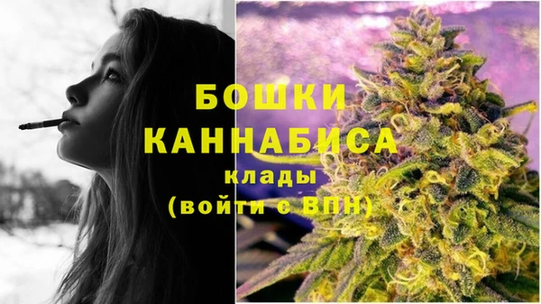 ГАЛЛЮЦИНОГЕННЫЕ ГРИБЫ Михайловск